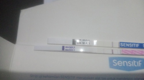 Saya sudah telat Haid 12 hari tapi hasilnya 1 terang yng 1 samar gk jelas apakah sya positif hamil.?