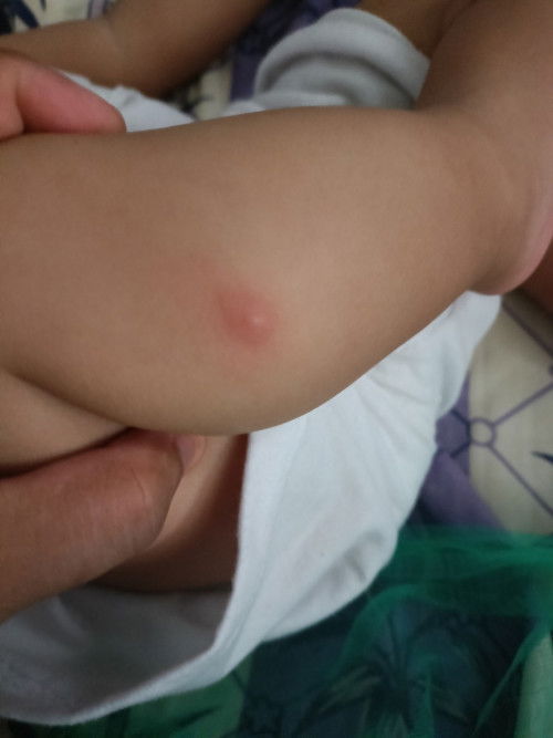 Mga Mi, no po ba ito?