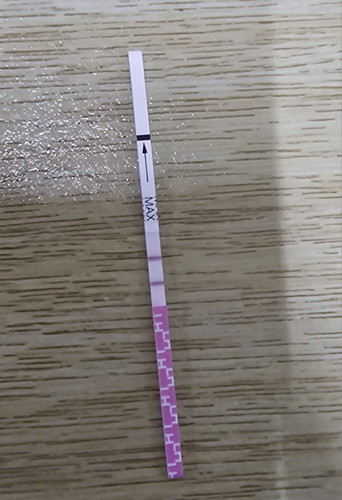 OPK TEST NEGATIVE/POSITIVE?