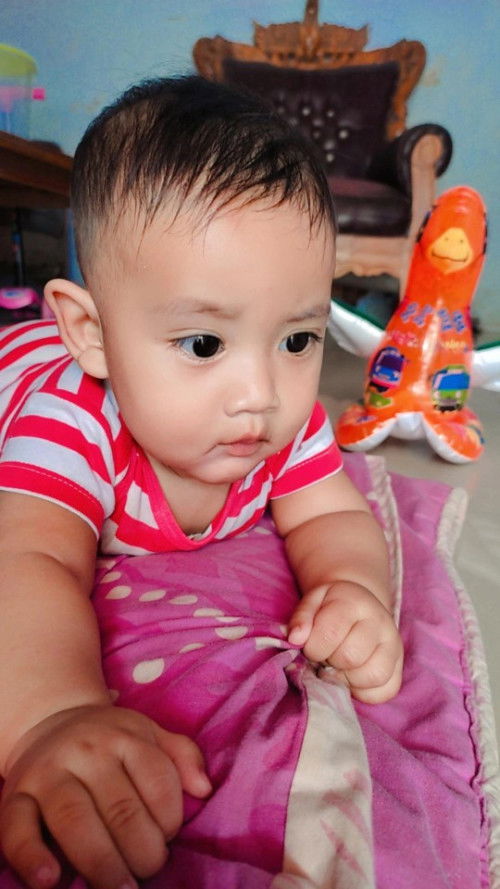 Bayi 6 bulan