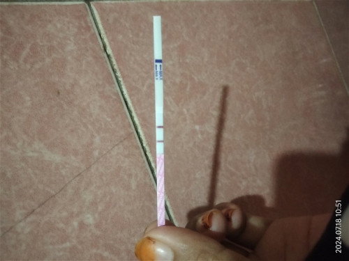 Garis 2 sebulm telat haid