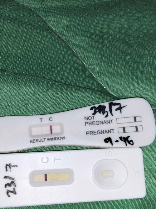 Haii mama2 bantu saya boleh tak ? Positive or negetif upt