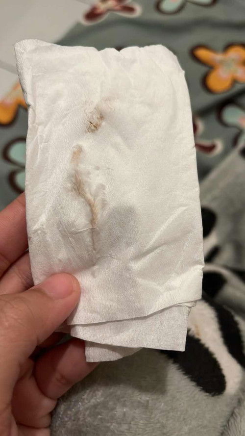 Flek setelah muntah muntah TM 1