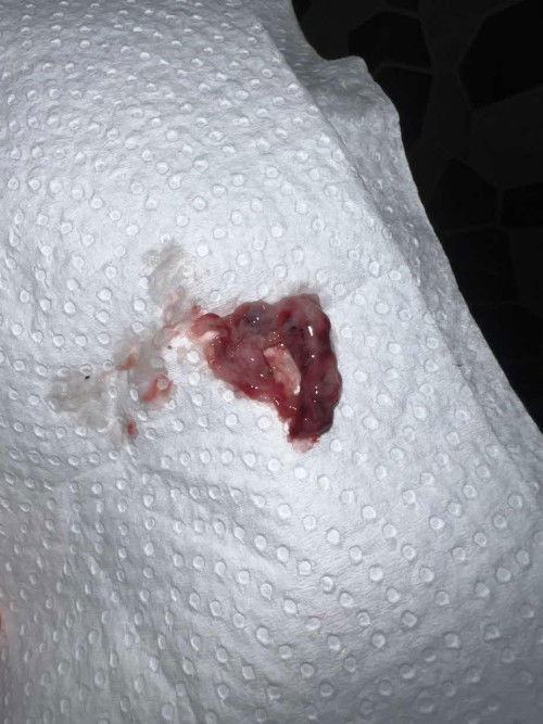 maaf tnya ni apa ye ?