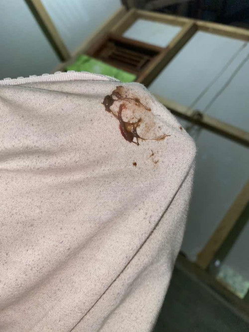 Mohon bantu jawab bun hpl 26/27 juli