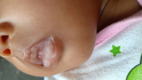 Aman nggak ya? Dikasih apa ??