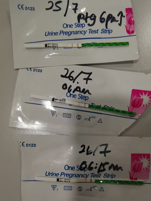 Haid berpanjangan UPT POSITIF