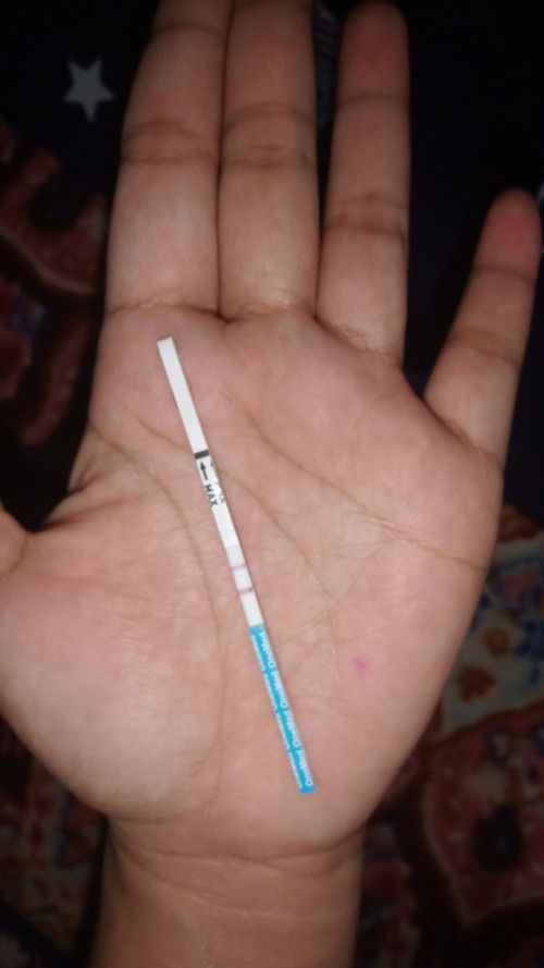 6w2d Di USG belum terlihat apapun