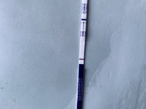 TTC PREGNACY TEST