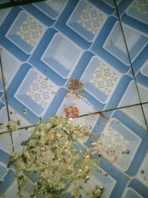 Hamil tm 1 muntah sampe keluar darah ?