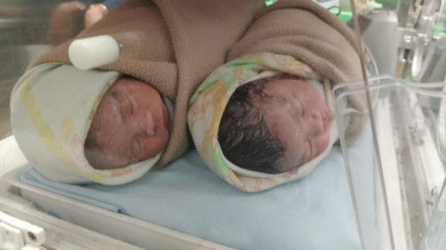 Baby twins