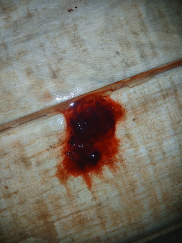 เเบบนี้น้องหลุดมั่ยค่😢