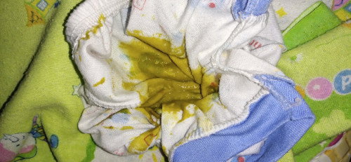 Pup warna ijo