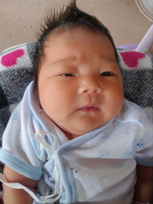 ลูกตัวเหลือง