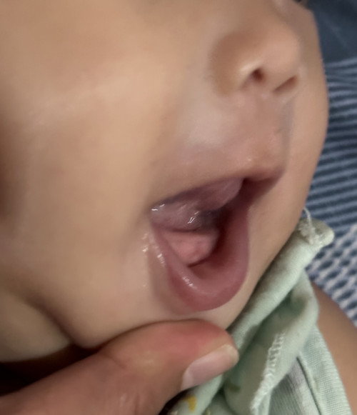 Belum tumgi
