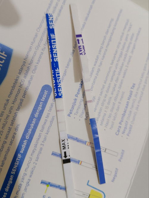 Trauma garis 2 ga hamil