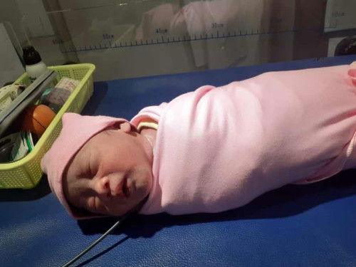 lahiran maju dari hpl