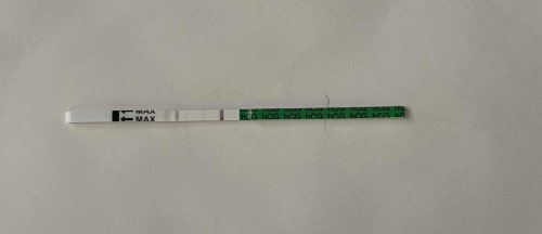 Period terakhir 8/7/2024