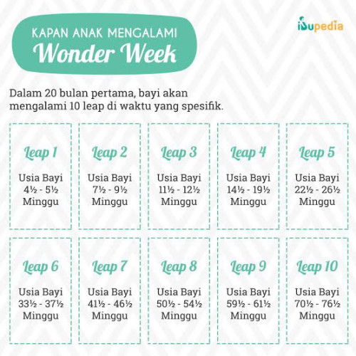 Wonder Week