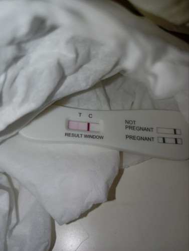 Pregnancy test