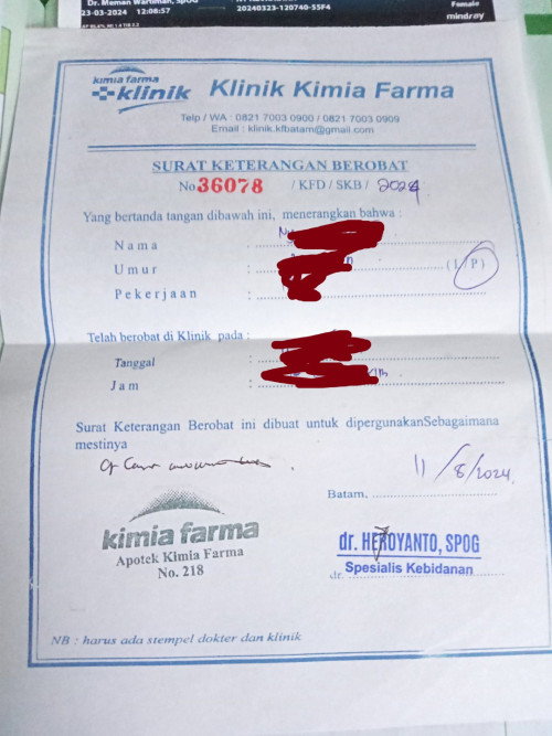 Surat izin terbang naik pesawat