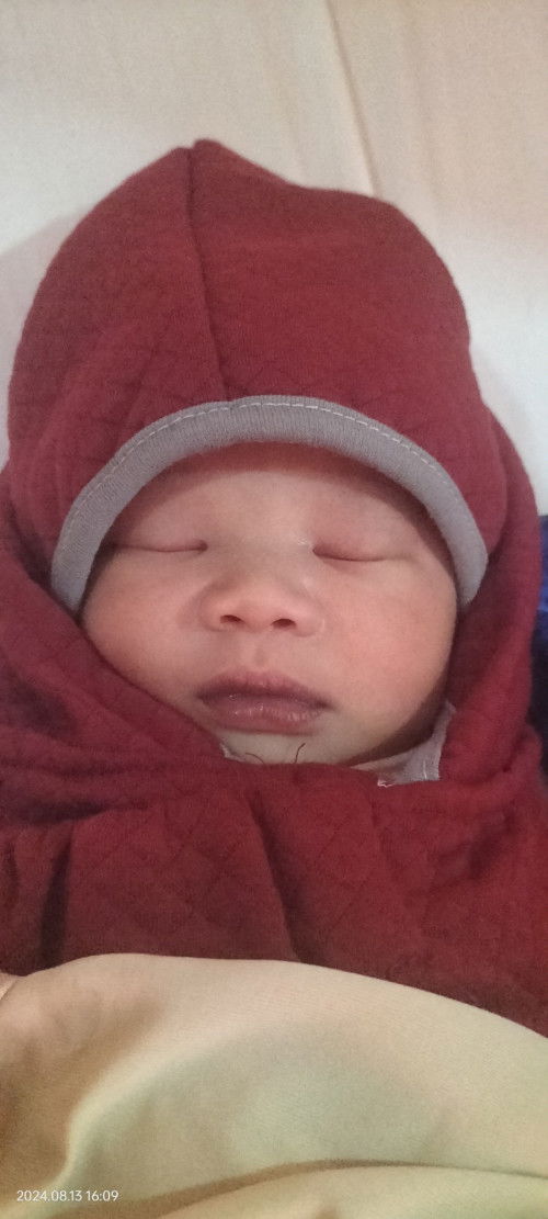 Hpl 20agustus launching 13agusts