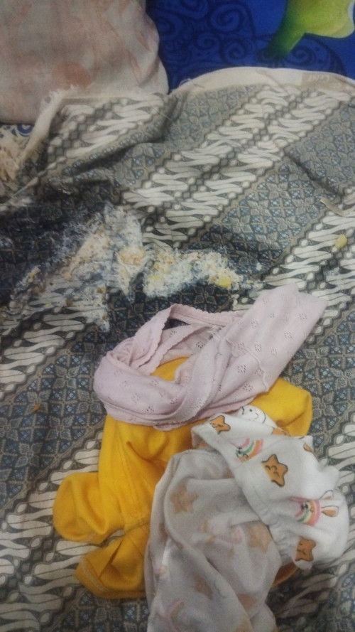 Muntah pada malam hari saja