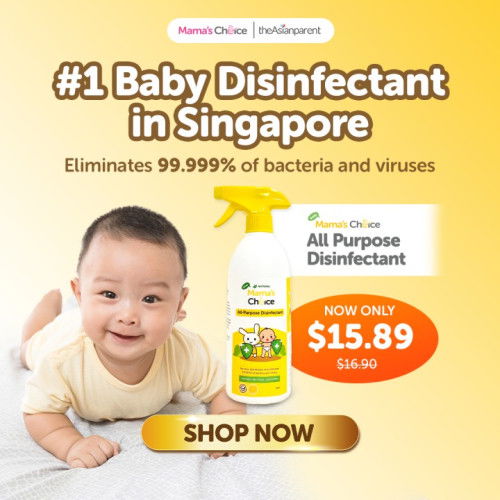 Keep Your Home Safe and Germ-Free with Mama's Choice All-Purpose Disinfectant