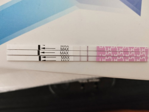 Fungsi Opk