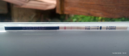 assalam maaf nk tnya..sy kn turun darah dh 3 hari..dh abis sy test ..bermkna sy xgugur ??