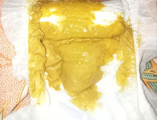 Susu lectogen langkah 1