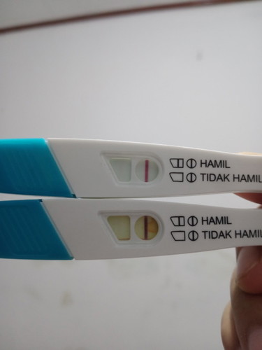 Apa ini hamil