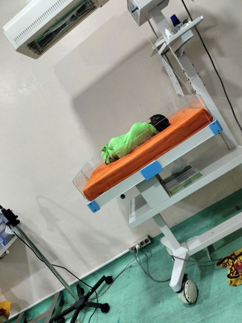 Si adk udah launching