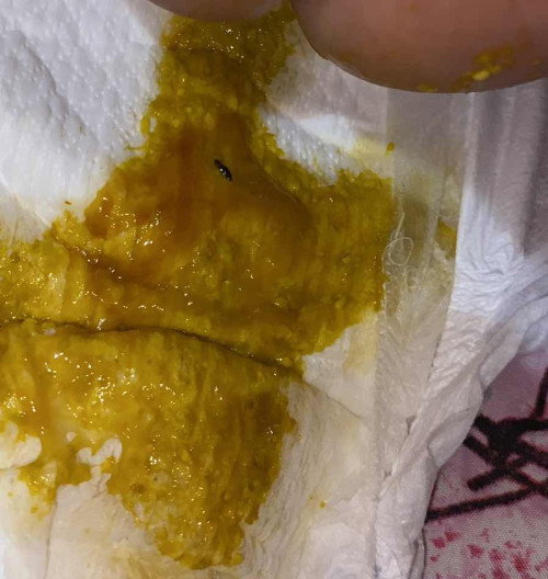 Tentang bayiku