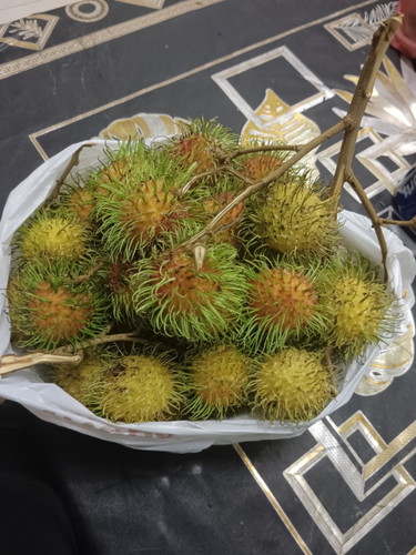 Sy tgh preggy 15w Pstu sy mkn rambutan bnyk dr biase.10biji mcmtu. Bhye x pd bby?