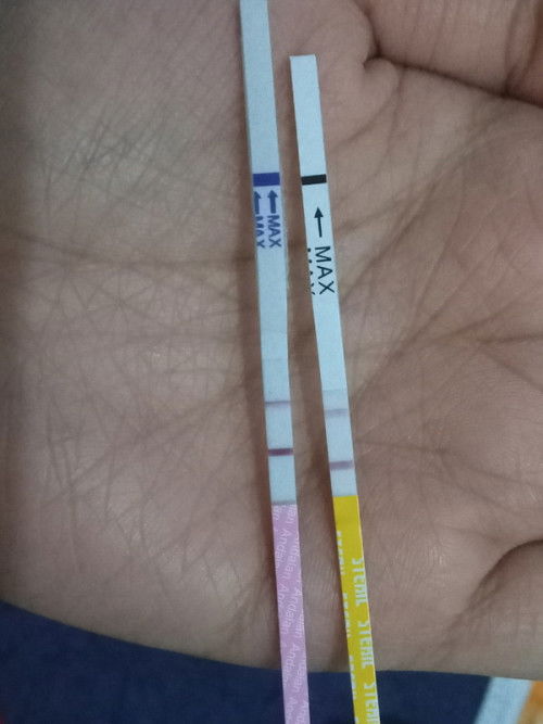 Berharap jadi orang tua