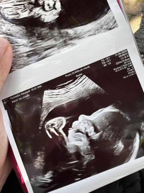 ทีมธันวาคม 67 ( ปีมังกรทอง )