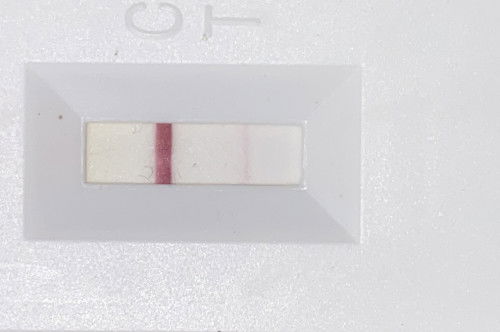 Pregnancy test samar