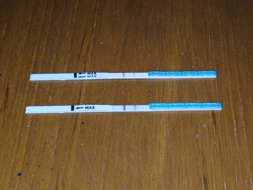 Hamil anak kedua setelah caesar