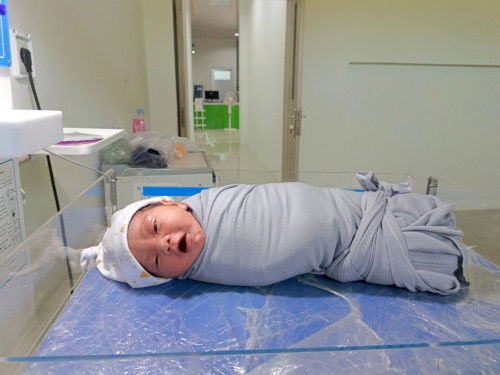 Hpl 24 agustus 2024, lahir 23 agustus 2024