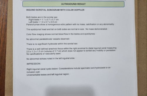 Ultrasound Result