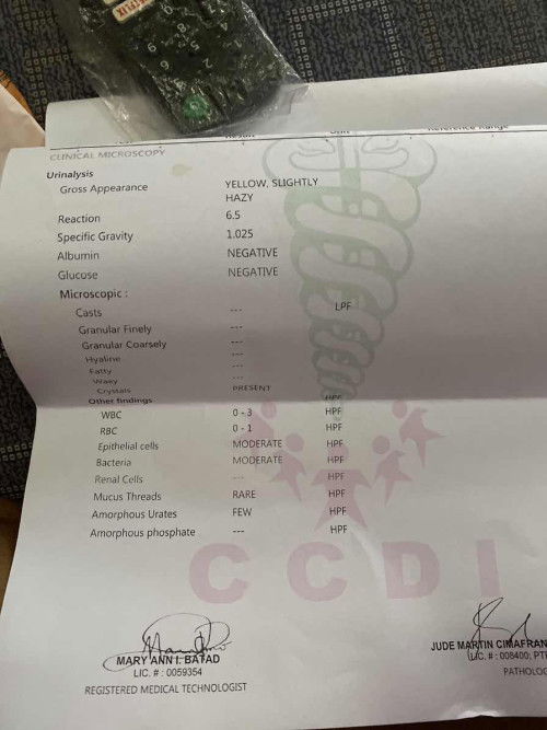 Meron po bang problema sa result ng urinalysis ko po??