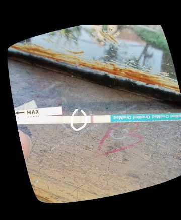 Tespack positif atau negatif