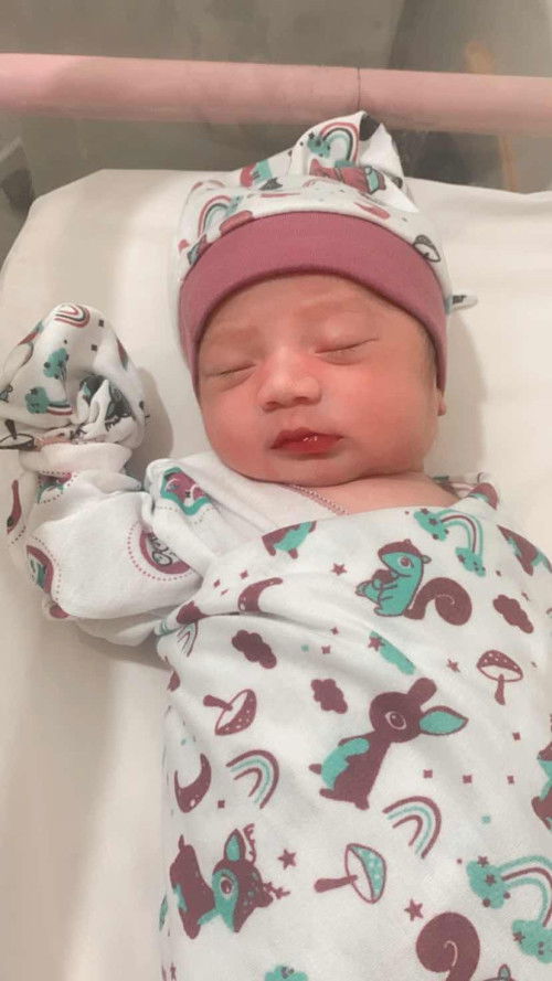 Hpl 16 september lounching 28 agustus