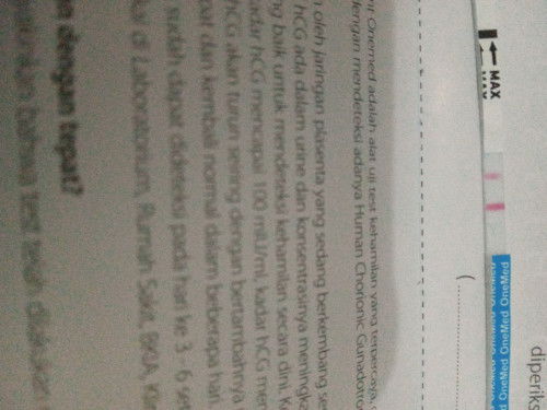 Berharap jadi orang tua