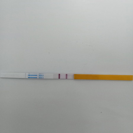 Test opk . Positif ke tak