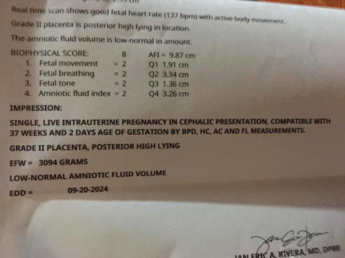 ULTRASOUND RESULTS