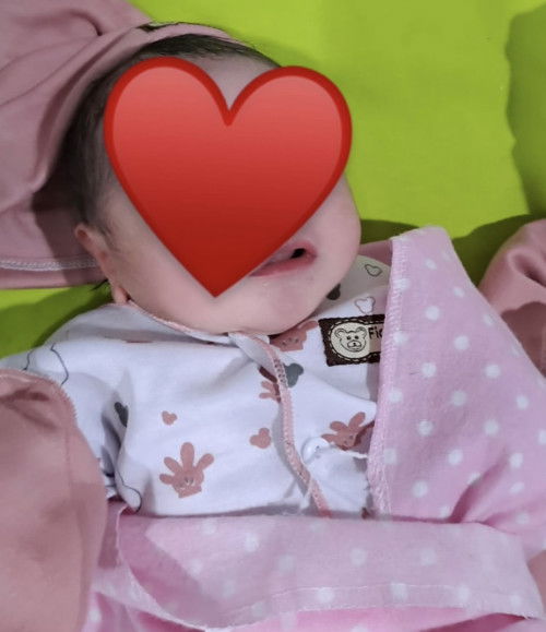 hpl 12 sept launching 4 sept