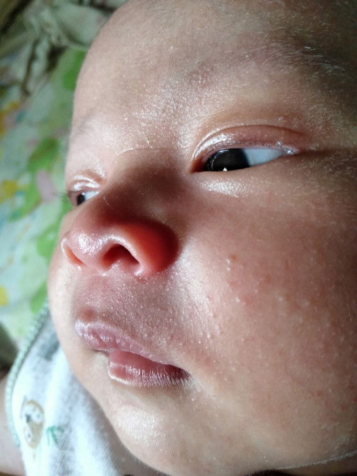 Bayi 1 bulan 12 hari