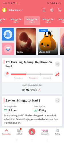 apakah sudah masuk trimester 2??